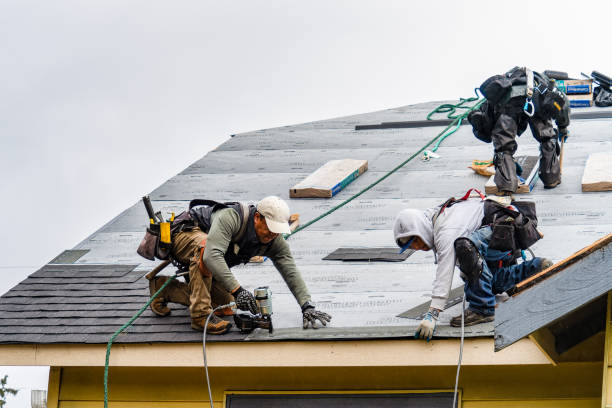 Professional Roof Replacement technician working in Interlochen, MI